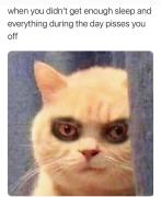 Profilul
