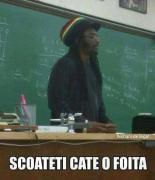 Profilul