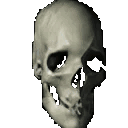 Profilul