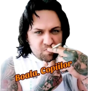 Profilul