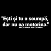 Profilul