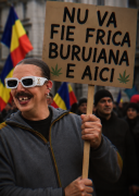 Profilul
