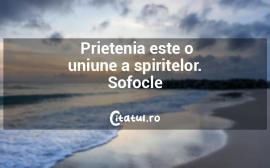 Profilul