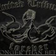 Profilul