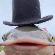 Profilul