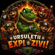 Profilul