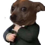 Profilul