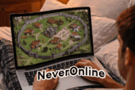 Profilul