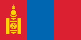 Profilul